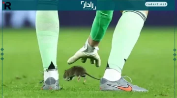 فأر يغزو الملعب.. توقف مباراة تصفيات المونديال بسبب ضيف غير متوقع